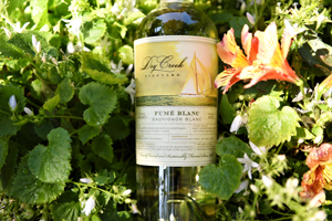 2020 Fumé Blanc Bottle