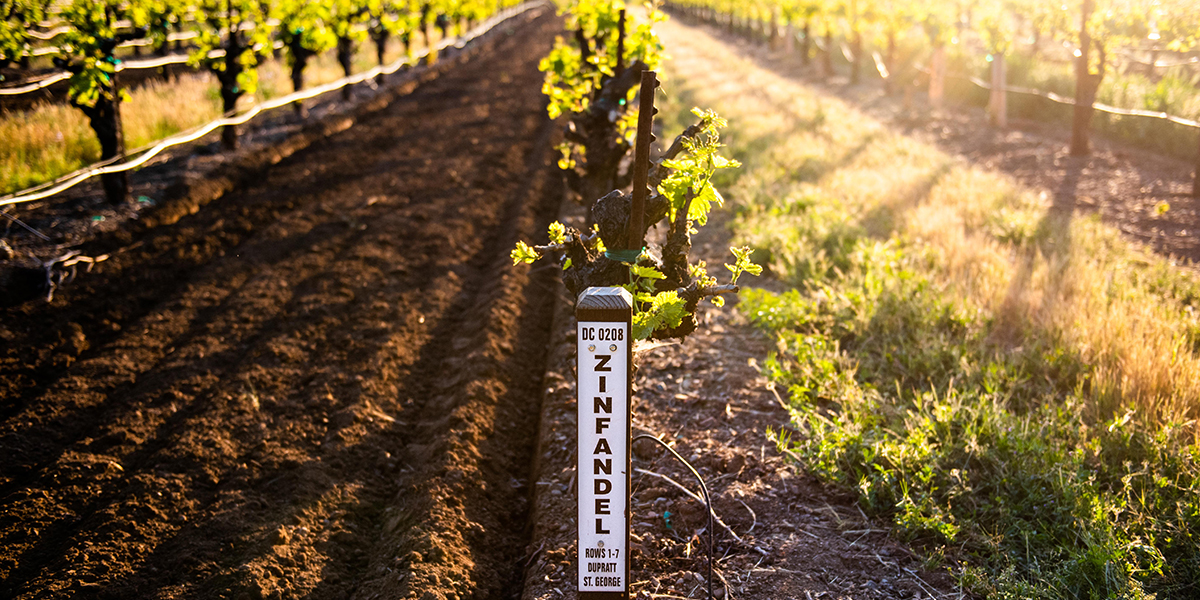 ハイテールデザインズ タイベックグランドクロス Wild BreezeTyvek HIGH TAIL DESIGNS Tyvek Delta ハイテールデザイン タイベックシート