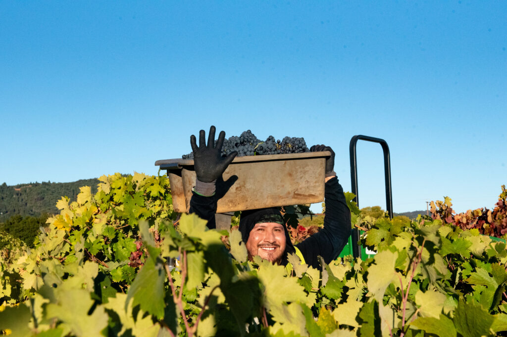 Harvest worker waves at the camera
